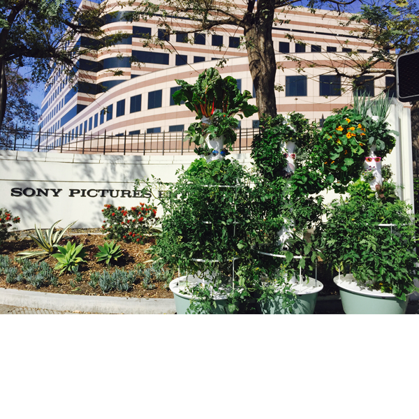 sony-pictures-1