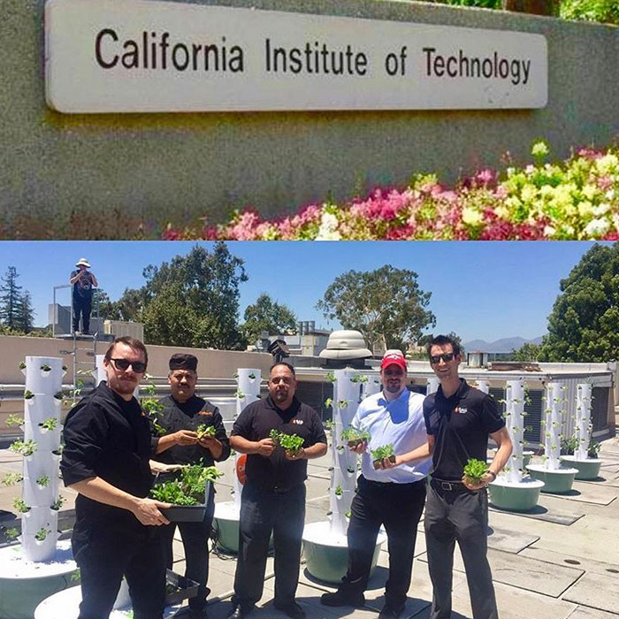 Cal Tech